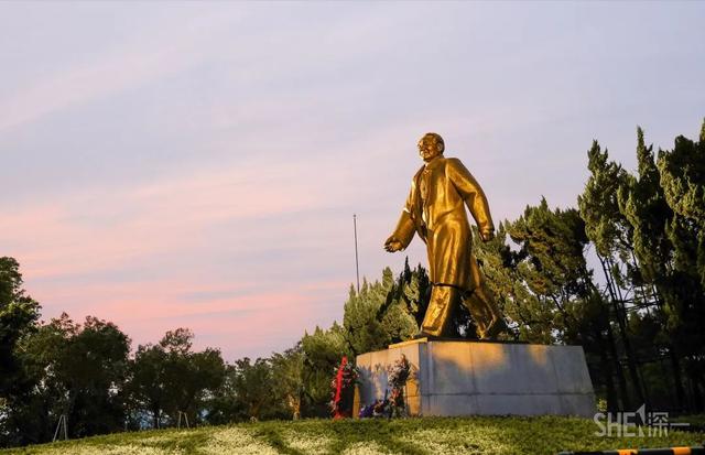 深圳哪里最多本地人（深圳原来这么大大大大大）(26)