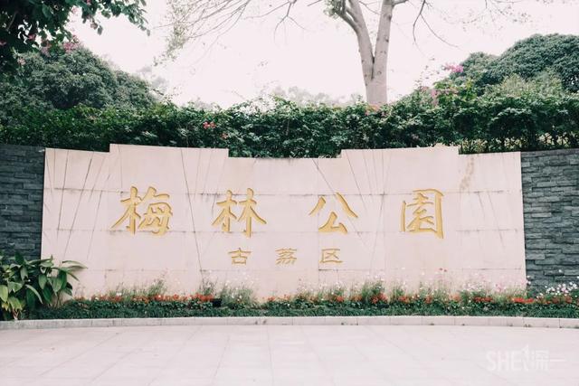 深圳哪里最多本地人（深圳原来这么大大大大大）(40)