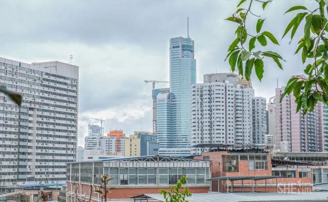 深圳哪里最多本地人（深圳原来这么大大大大大）(76)