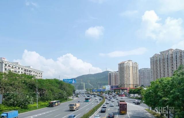 深圳哪里最多本地人（深圳原来这么大大大大大）(89)