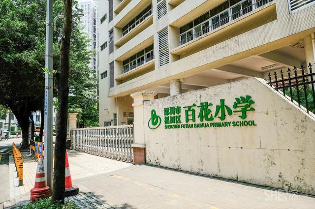 深圳哪里最多本地人（深圳原来这么大大大大大）(31)