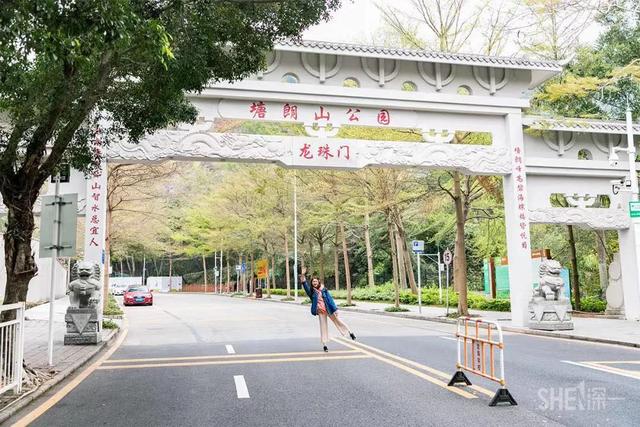 深圳哪里最多本地人（深圳原来这么大大大大大）(15)