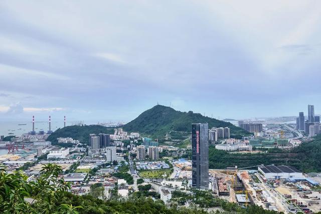 深圳哪里最多本地人（深圳原来这么大大大大大）(18)