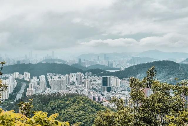 深圳哪里最多本地人（深圳原来这么大大大大大）(70)