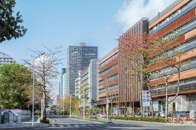 深圳哪里最多本地人（深圳原来这么大大大大大）(42)