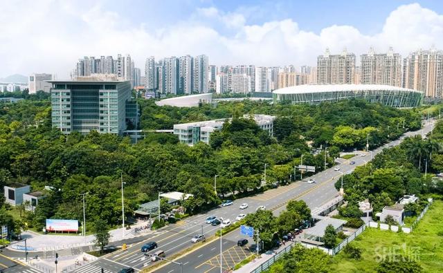 深圳哪里最多本地人（深圳原来这么大大大大大）(44)