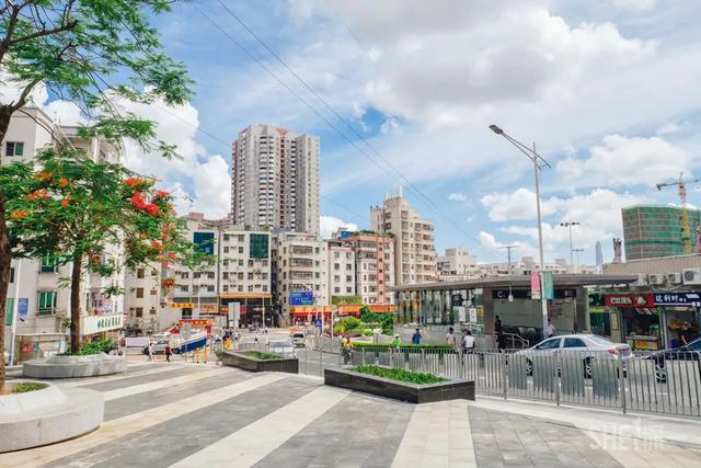 深圳哪里最多本地人（深圳原来这么大大大大大）(65)