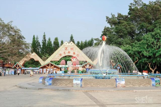 深圳哪里最多本地人（深圳原来这么大大大大大）(17)