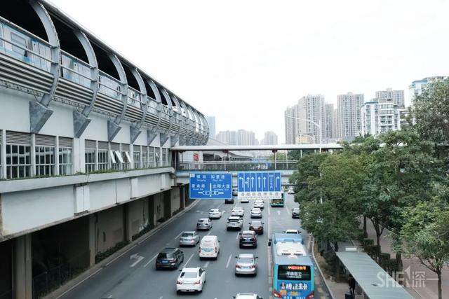 深圳哪里最多本地人（深圳原来这么大大大大大）(79)