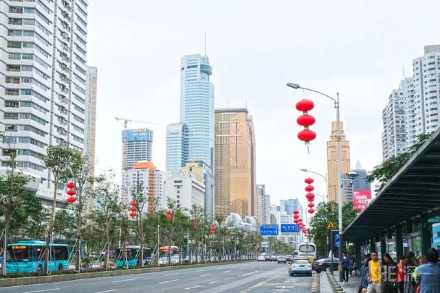 深圳哪里最多本地人（深圳原来这么大大大大大）(77)