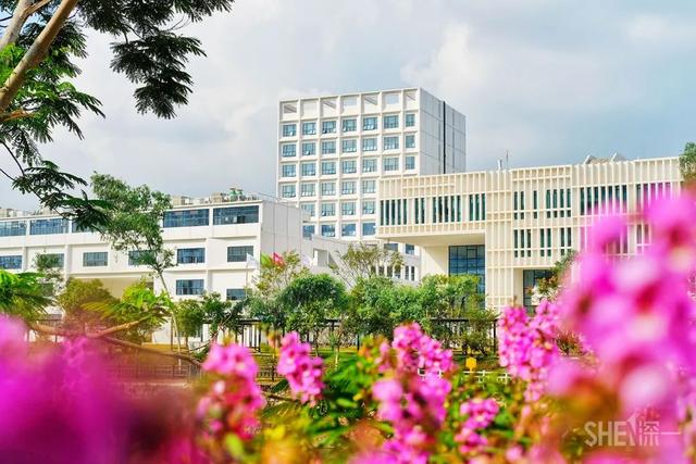 深圳哪里最多本地人（深圳原来这么大大大大大）(16)