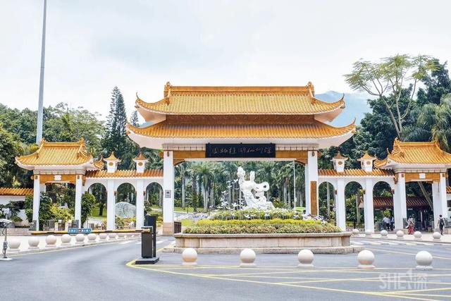 深圳哪里最多本地人（深圳原来这么大大大大大）(71)