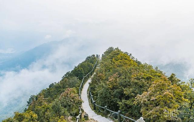 深圳哪里最多本地人（深圳原来这么大大大大大）(73)