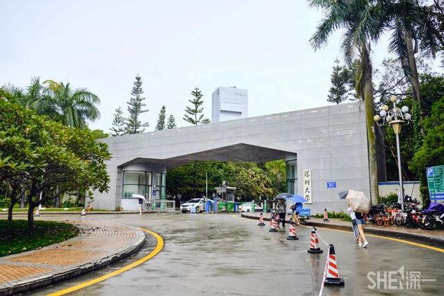 深圳哪里最多本地人（深圳原来这么大大大大大）(5)