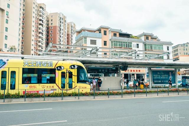 深圳哪里最多本地人（深圳原来这么大大大大大）(86)