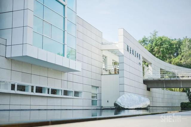 深圳哪里最多本地人（深圳原来这么大大大大大）(9)