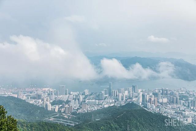 深圳哪里最多本地人（深圳原来这么大大大大大）(1)