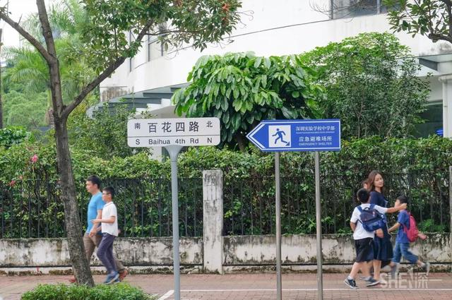 深圳哪里最多本地人（深圳原来这么大大大大大）(29)