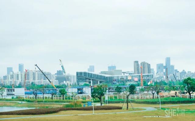 深圳哪里最多本地人（深圳原来这么大大大大大）(23)