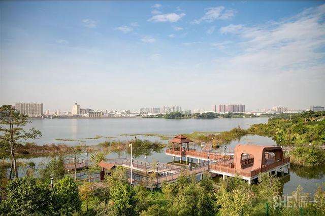 深圳哪里最多本地人（深圳原来这么大大大大大）(53)