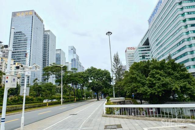 深圳哪里最多本地人（深圳原来这么大大大大大）(6)