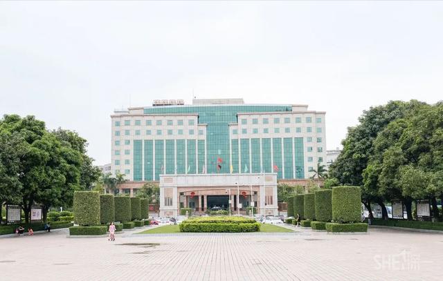 深圳哪里最多本地人（深圳原来这么大大大大大）(54)