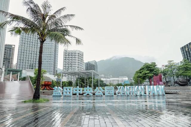 深圳哪里最多本地人（深圳原来这么大大大大大）(94)