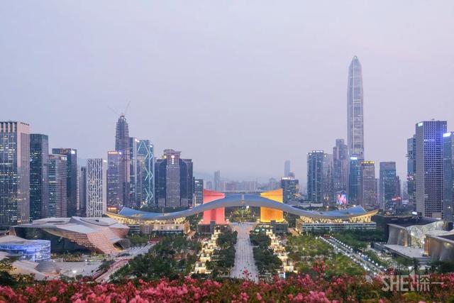 深圳哪里最多本地人（深圳原来这么大大大大大）(25)