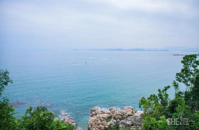 深圳哪里最多本地人（深圳原来这么大大大大大）(97)