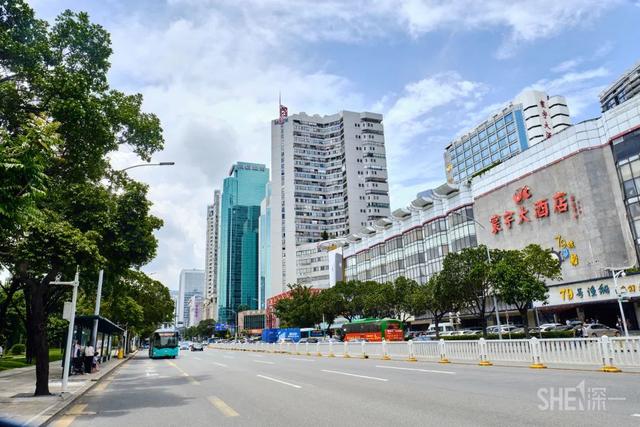 深圳哪里最多本地人（深圳原来这么大大大大大）(68)