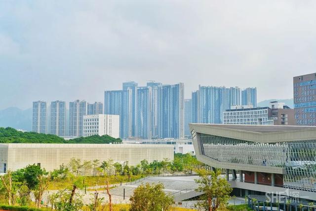 深圳哪里最多本地人（深圳原来这么大大大大大）(14)