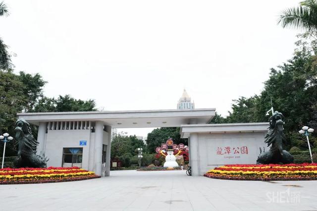 深圳哪里最多本地人（深圳原来这么大大大大大）(82)