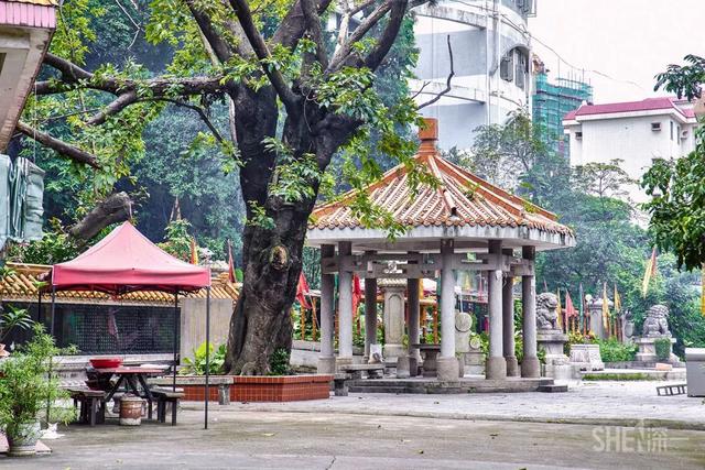 深圳哪里最多本地人（深圳原来这么大大大大大）(20)