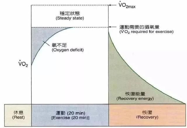 早晨空腹运动到底减脂吗（空腹运动更燃脂）(6)