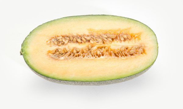 哈密瓜长在树上还是地上,哈密瓜说明文400字作文图5