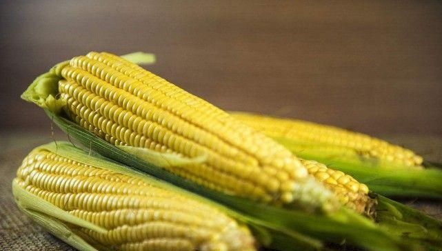 玉米怎么挑选甜的
