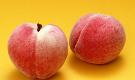 水蜜桃是不是毛桃儿