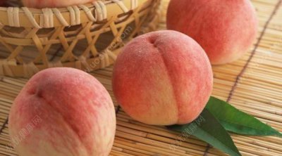 ​怎么区分水蜜桃和毛桃,水蜜桃是不是毛桃 毛桃是不是水蜜桃