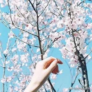 九宫格的配图大全(晒图最佳九宫格)(9)