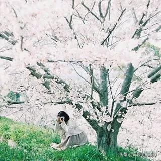 九宫格的配图大全(晒图最佳九宫格)(15)