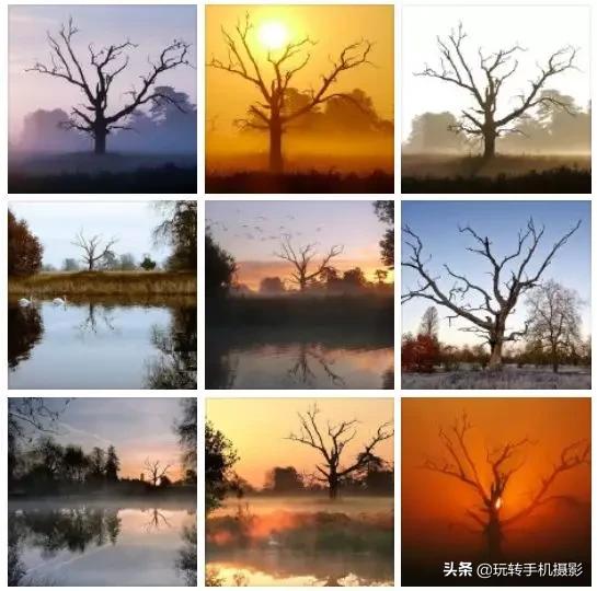 九宫格的配图大全(晒图最佳九宫格)(42)