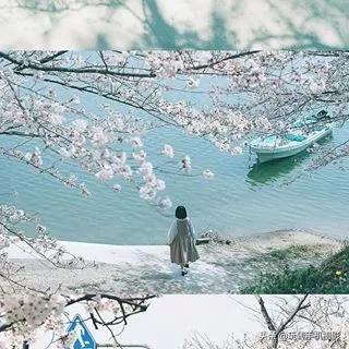 九宫格的配图大全(晒图最佳九宫格)(13)