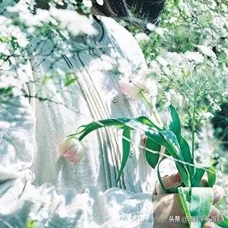 九宫格的配图大全(晒图最佳九宫格)(8)