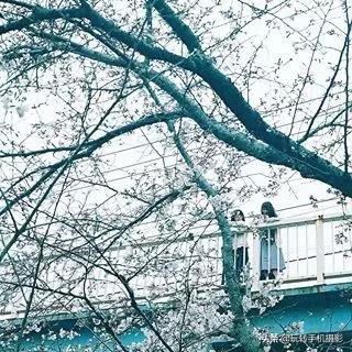 九宫格的配图大全(晒图最佳九宫格)(16)