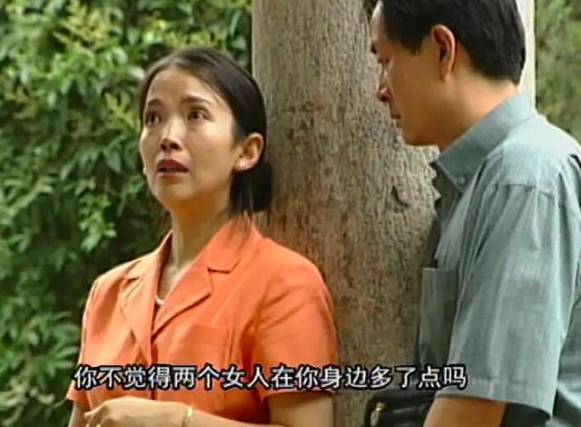 池莉最好的十本书:池莉作品来来往往(9)