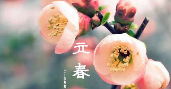 立春吃啥有啥讲究,立春吃什么图7