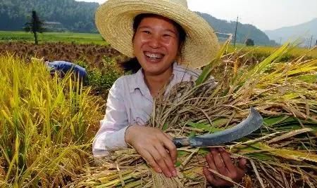 感恩遇见的简短句子,感谢经理的短句子?图9