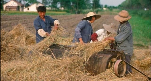 感恩遇见的简短句子,感谢经理的短句子?图13