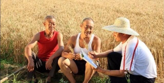 感恩遇见的简短句子,感谢经理的短句子?图8