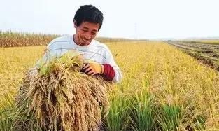 感恩遇见的简短句子,感谢经理的短句子?图10